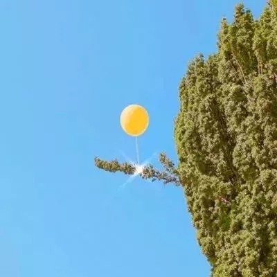 BET9官方APP下载正版